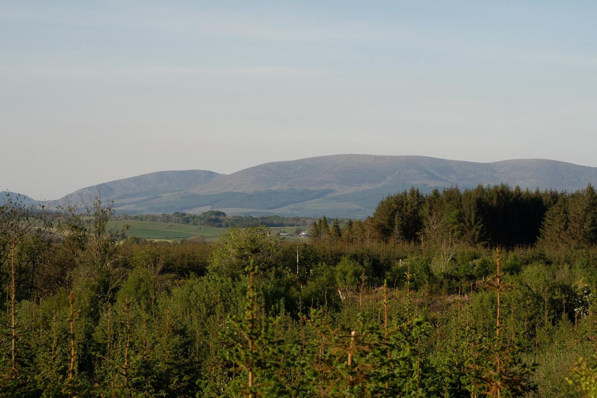 Wigtown By Wigwam Holidays Нютън Стюарт Стая снимка